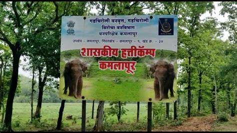 elephant camp