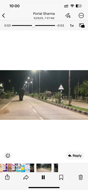 tuskers tuskers