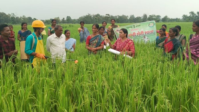 farmers